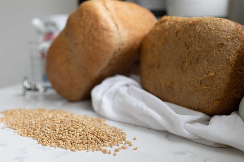 Hard Red Wheat Berries (2gal. Pail) Joseph's Kitchen