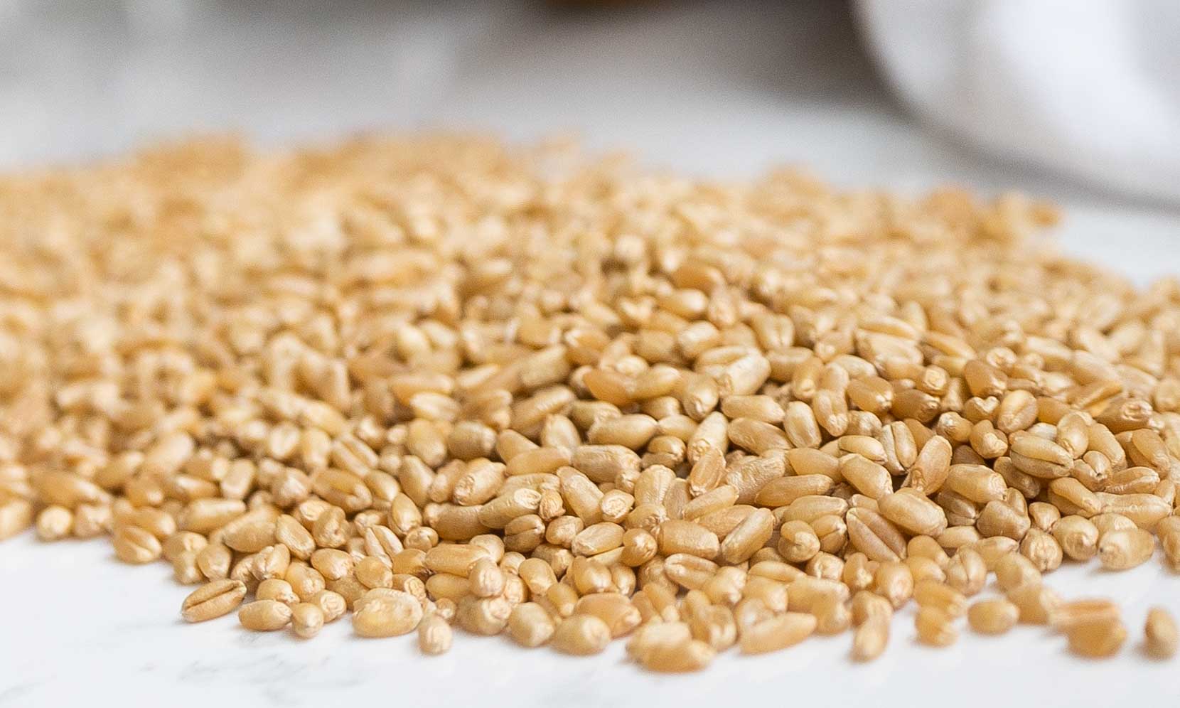 Hard White Wheat Berries (6gal. Pail) Joseph's Kitchen
